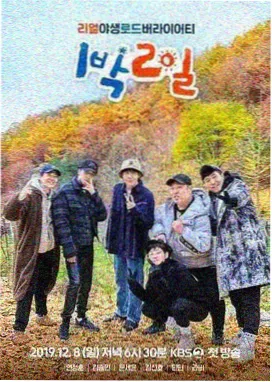 周末去哪儿综艺在线观看